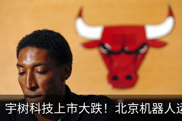 宇树科技上市大跌！北京机器人运动会，戳破行业真相