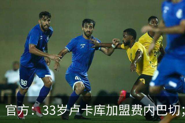 官方：33岁卢卡库加盟费内巴切；据悉转会费超过600万欧元