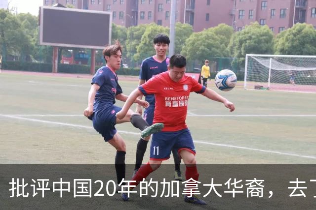 批评中国20年的加拿大华裔，去了洛杉矶3天后，说要给中国人道歉