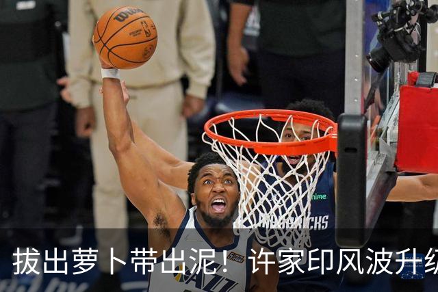 拔出萝卜带出泥！许家印风波升级，多位女星被牵连，刘亦菲太无辜