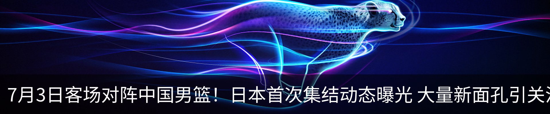 资讯动态